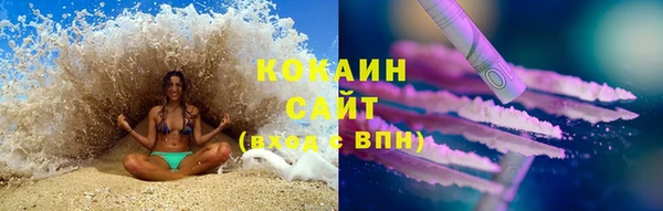 сатива Абинск