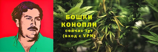 сатива Абинск