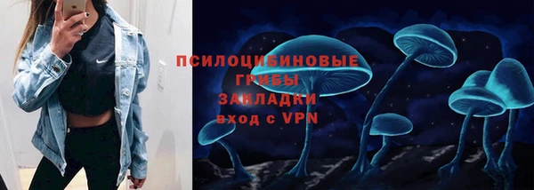 дурь Алзамай