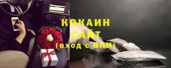 сатива Абинск