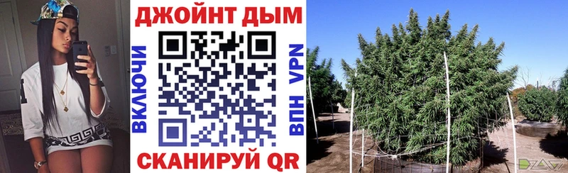 OMG Юрюзань Канабис планчик